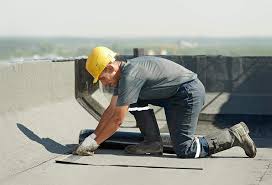 Best Sheet Metal Roofing  in Cortland West, NY